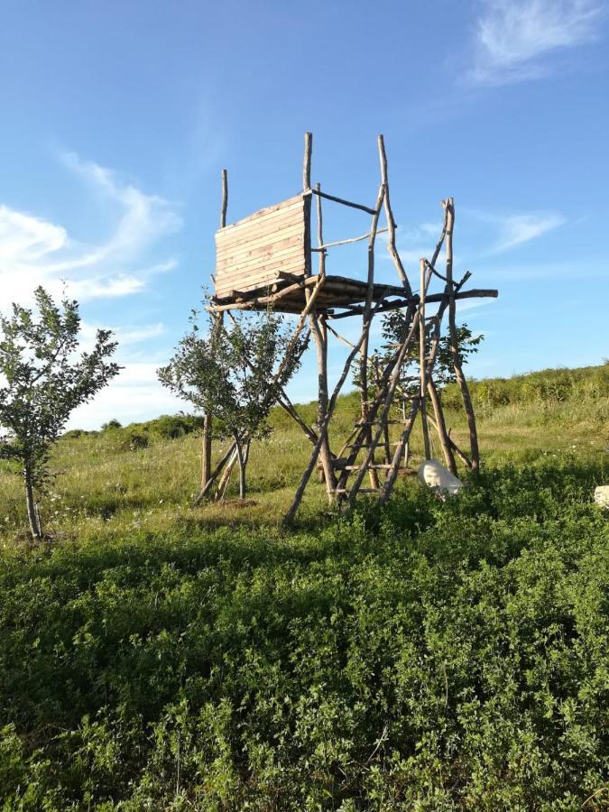 Pensiunea Agroturistica Casa Sirca Boghiş المظهر الخارجي الصورة