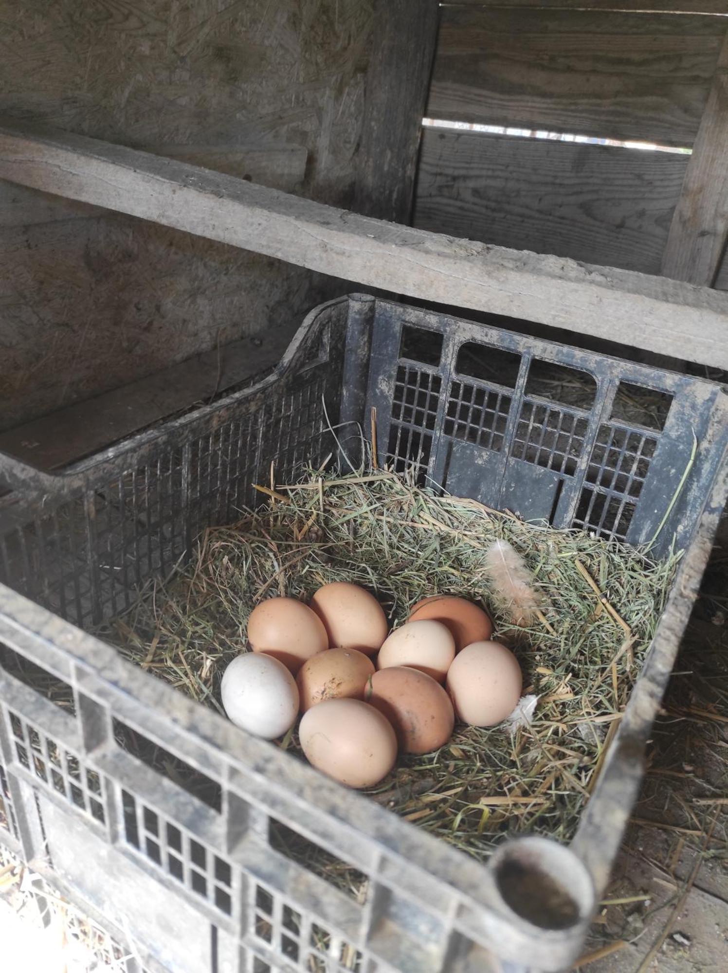Pensiunea Agroturistica Casa Sirca Boghiş المظهر الخارجي الصورة